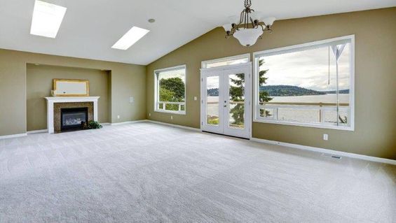 Living room with carpet on the floor